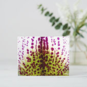 Carte postale Orchidée Phalaenopsis (Debout devant)