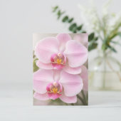 Carte Postale Orchidée Phalaenopsis Rose Clair (Debout devant)