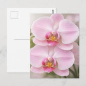 Carte Postale Orchidée Phalaenopsis Rose Clair (Devant / Derrière)