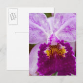 Carte Postale Orchidée Purple Passion (Devant / Derrière)