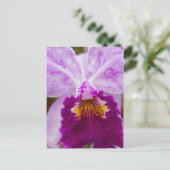 Carte Postale Orchidée Purple Passion (Debout devant)