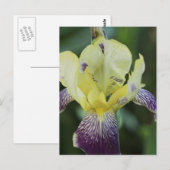 Carte postale Orchidée rare (Devant / Derrière)