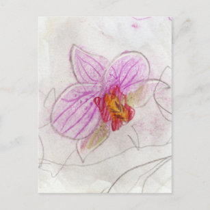 Carte Postale Orchidée rose