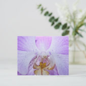 Carte Postale Orchidée rose (Debout devant)