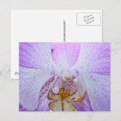 Carte Postale Orchidée rose (Devant / Derrière)