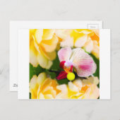 Carte Postale Orchidée rose avec balle de tennis (Devant / Derrière)