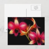 Carte Postale Orchidée rose de Fractalius (Devant / Derrière)