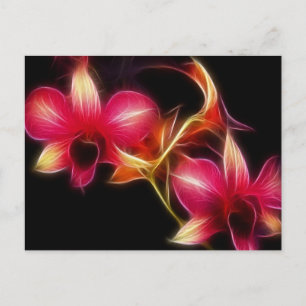 Carte Postale Orchidée rose de Fractalius