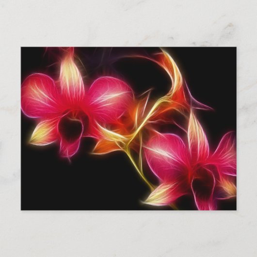 Carte Postale Orchidée rose de Fractalius (Devant)