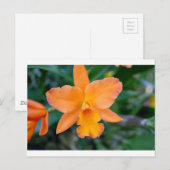 Carte Postale Orchidée saumon (Devant / Derrière)