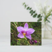 Carte Postale Orchidée sauvage violette Fleur tropicale (Debout devant)