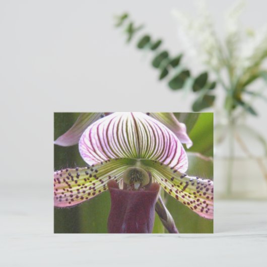 Carte postale orchidée unique (Debout devant)