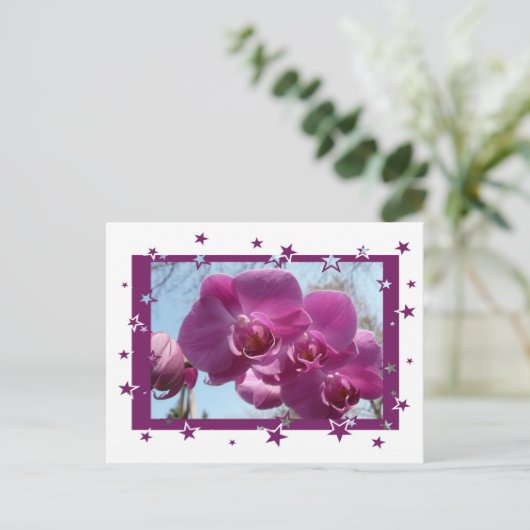Carte Postale Orchidée violette (Debout devant)