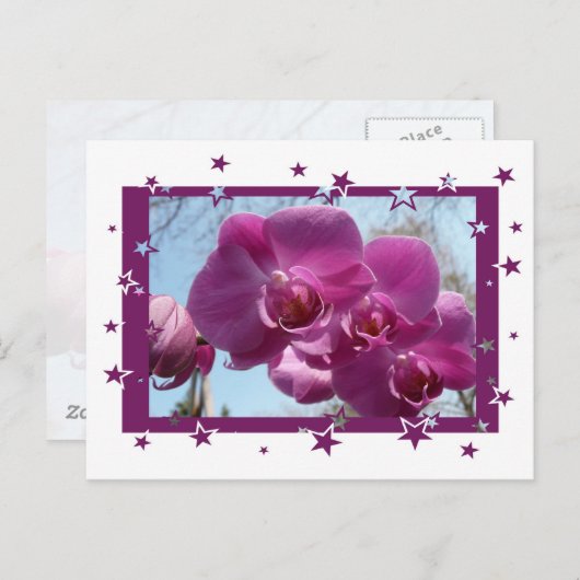 Carte Postale Orchidée violette (Devant / Derrière)