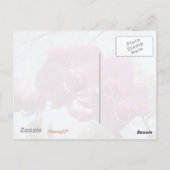 Carte Postale Orchidée violette (Dos)