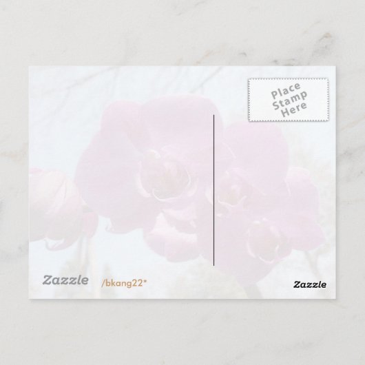 Carte Postale Orchidée violette (Dos)