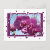 Orchidée violette