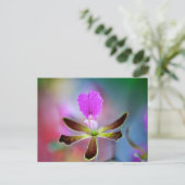 Carte Postale Orchidée violette (Debout devant)