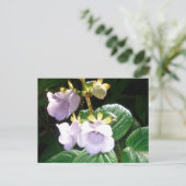 Carte Postale Orchidée violette de Fidji (Debout devant)