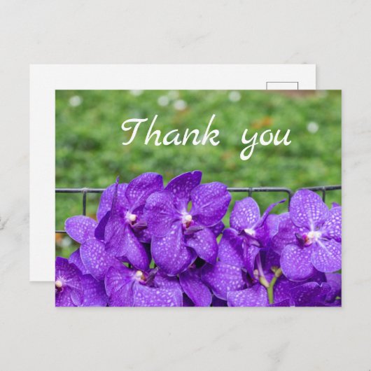 Carte Postale Orchidée violette sur l'herbe verte merci (Devant / Derrière)