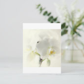 Carte Postale Orchideen (Debout devant)