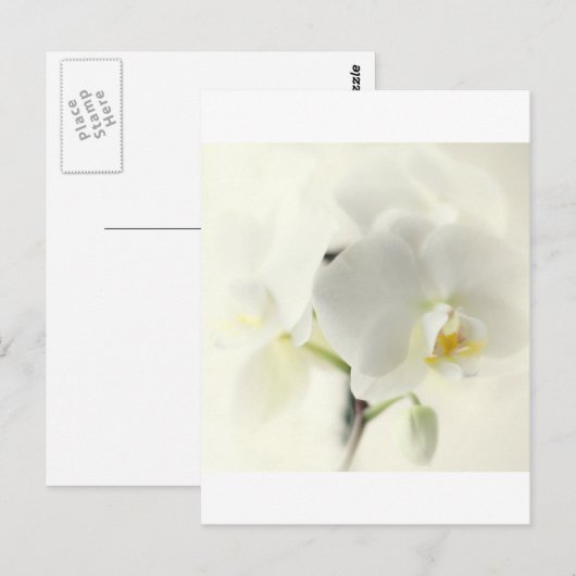 Carte Postale Orchideen (Devant / Derrière)