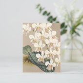 Carte Postale Orchidées (Debout devant)