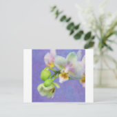 Carte Postale Orchidées (Debout devant)