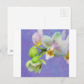 Carte Postale Orchidées (Devant / Derrière)