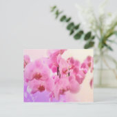 Carte Postale orchidées. (Debout devant)