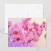 Carte Postale orchidées. (Devant / Derrière)