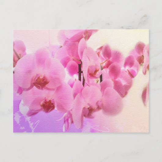 Carte Postale orchidées. (Devant)