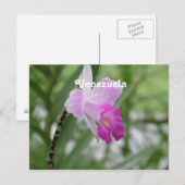 Carte Postale Orchidées (Devant / Derrière)