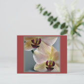 Carte Postale Orchidées (Debout devant)