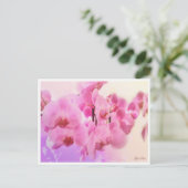 Carte Postale orchidées (Debout devant)