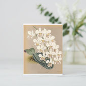 Carte Postale Orchidées (Debout devant)