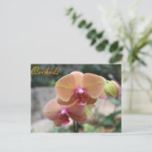Carte Postale Orchidées # 10 (Debout devant)