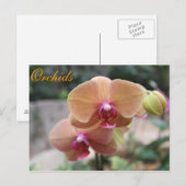 Carte Postale Orchidées # 10 (Devant / Derrière)