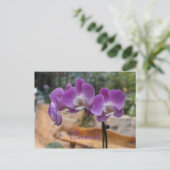 Carte Postale Orchidées # 11 (Debout devant)