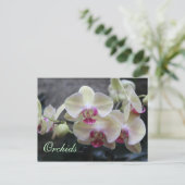 Carte Postale Orchidées # 15 (Debout devant)