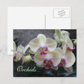 Carte Postale Orchidées # 15 (Devant / Derrière)