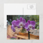 Carte Postale Orchidées # 9 (Devant / Derrière)