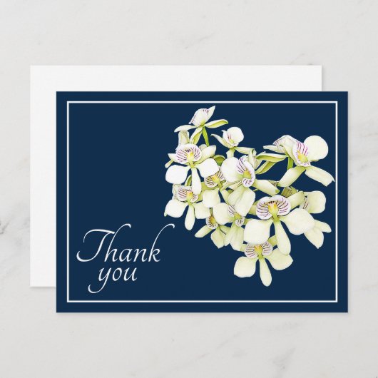 Carte Postale Orchidées à nervures blanches Fond marine Merci (Devant / Derrière)
