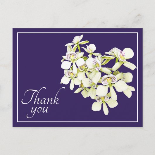 Carte Postale Orchidées à nervures blanches Fond violet Merci (Devant)