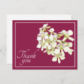 Carte Postale Orchidées à veines blanches sur fond cramoisi Merc (Devant / Derrière)