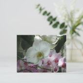 Carte Postale Orchidées blanches et violettes (Debout devant)