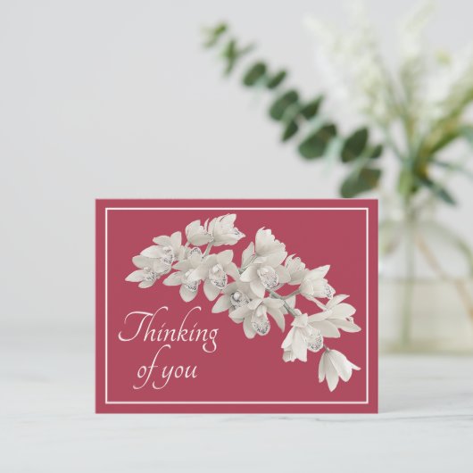 Carte Postale Orchidées blanches Fond rose Pensée pour vous (Debout devant)