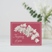 Carte Postale Orchidées blanches Fond rose Pensées pour vous (Debout devant)