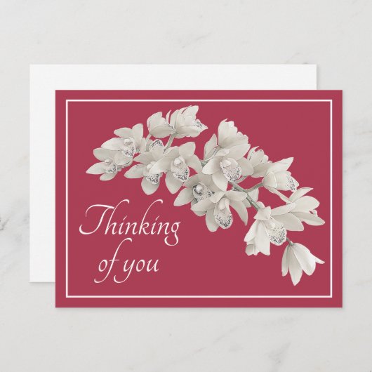 Carte Postale Orchidées blanches Fond rose Pensées pour vous (Devant / Derrière)