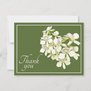 Carte Postale Orchidées blanches Merci Arrière - plan vert